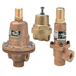 Cash Valve Back Pressure Valves
